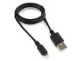 sK-12869