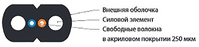 Нажмите на фото для увеличения